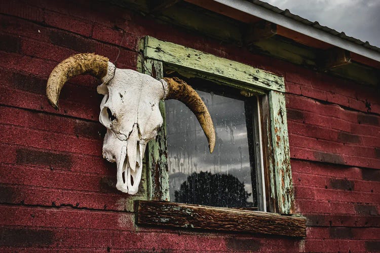 Hanging Around by Christopher Thomas wall art