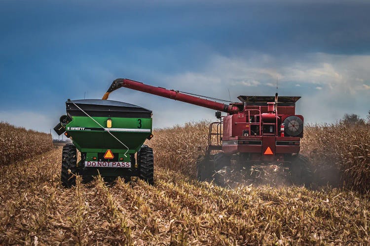 Harvest Season by Christopher Thomas wall art