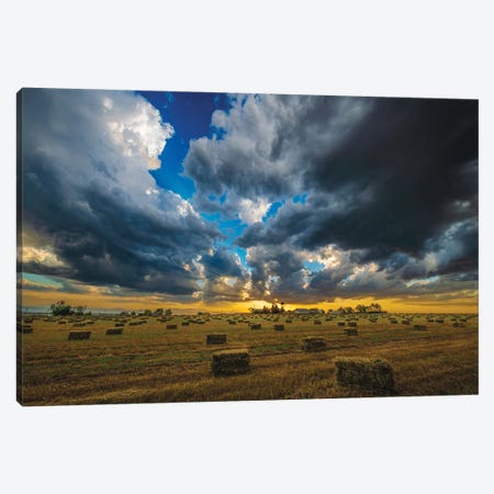 Hay Harvest Sunset Canvas Print #CPH78} by Christopher Thomas Canvas Print