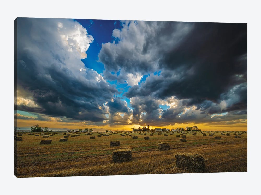 Hay Harvest Sunset by Christopher Thomas 1-piece Canvas Print