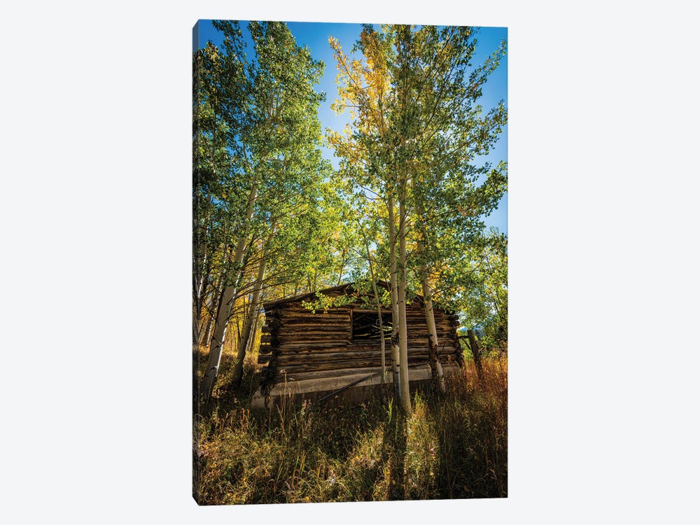North Park Cabin by Christopher Thomas 1-piece Art Print