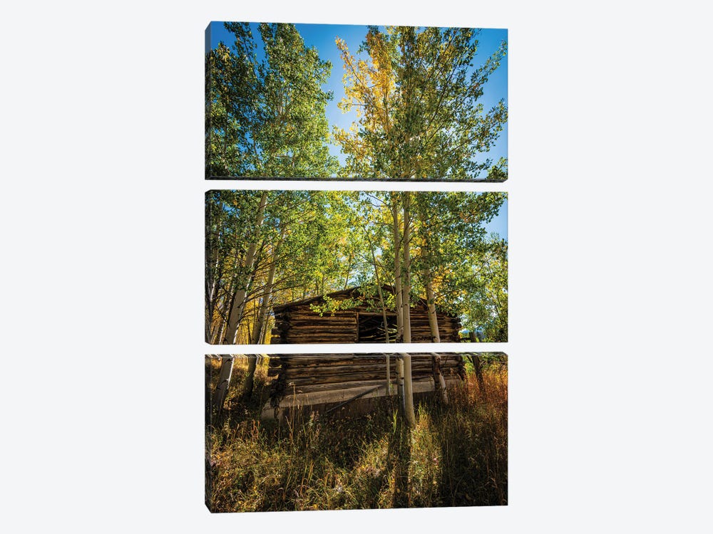 North Park Cabin by Christopher Thomas 3-piece Art Print