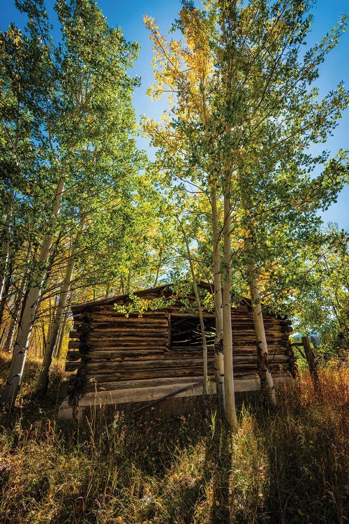 North Park Cabin
