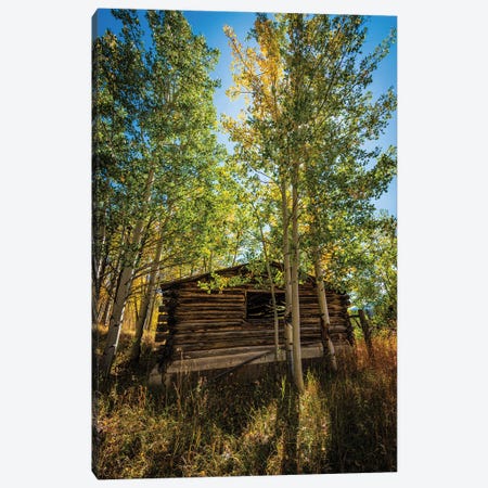 North Park Cabin Canvas Print #CPH7} by Christopher Thomas Canvas Wall Art
