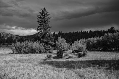 Homestead Meadows Mono by Christopher Thomas canvas print