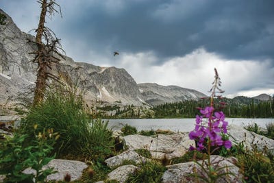 Lake Marie In August by Christopher Thomas canvas print