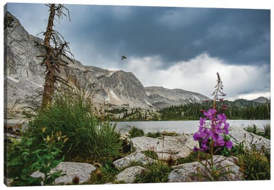Lake Marie In August Canvas Art Print - Christopher Thomas