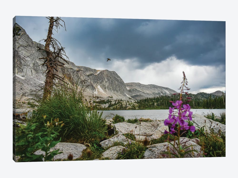 Lake Marie In August by Christopher Thomas 1-piece Canvas Art Print