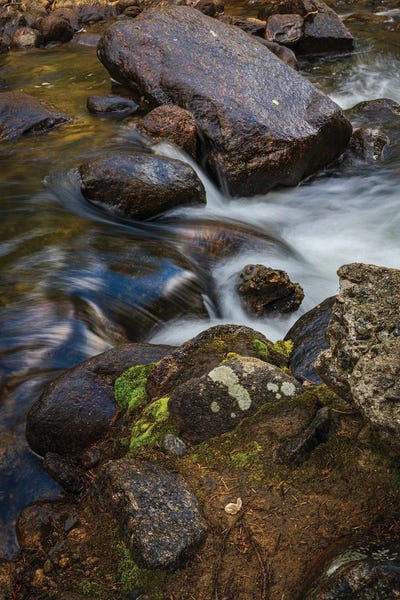 Mossy Mountain Stream by Christopher Thomas framed canvas print