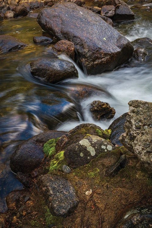 Mossy Mountain Stream by Christopher Thomas wall art