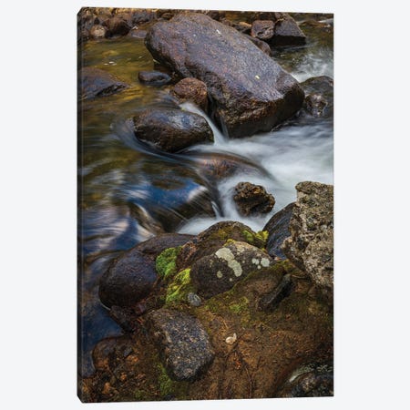 Mossy Mountain Stream Canvas Print #CPH88} by Christopher Thomas Canvas Art