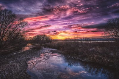 Natural Noco by Christopher Thomas framed canvas print