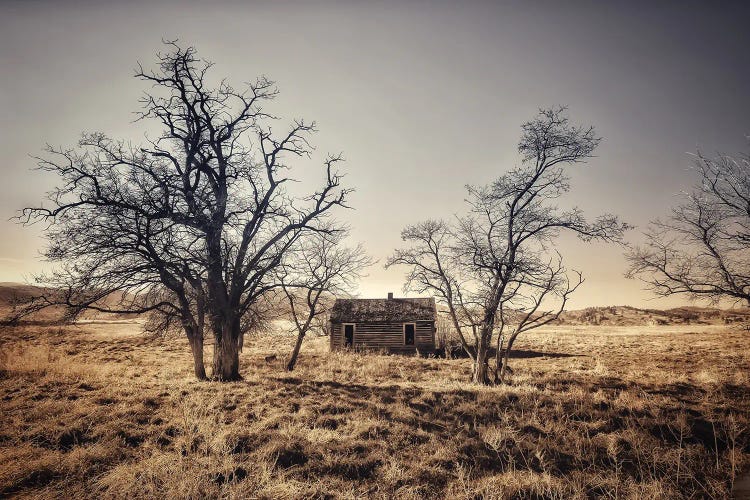 Pale House By The Hills by Christopher Thomas wall art