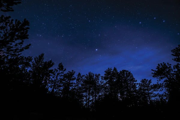 Ponderosa Stars