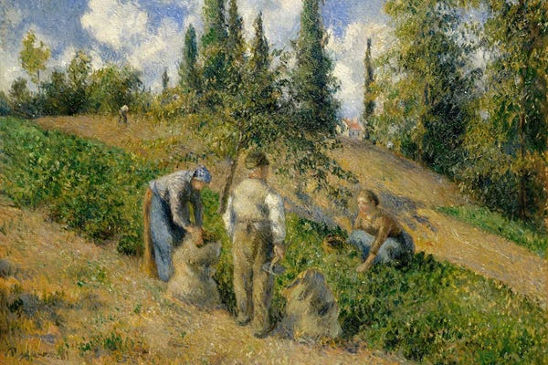 Camille Pissarro: The Harvest, Pontoise by Camille Pissarro