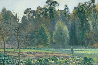 The Cabbage Field, Pontoise by Camille Pissarro canvas print
