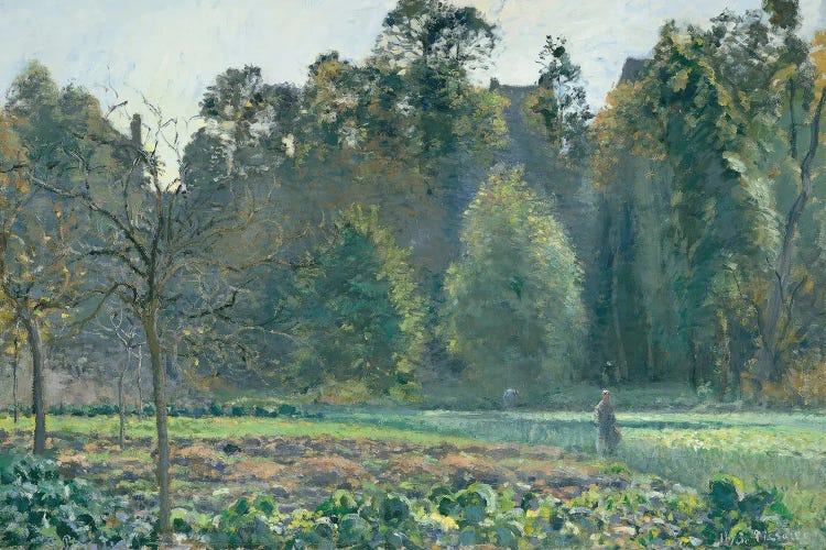The Cabbage Field, Pontoise