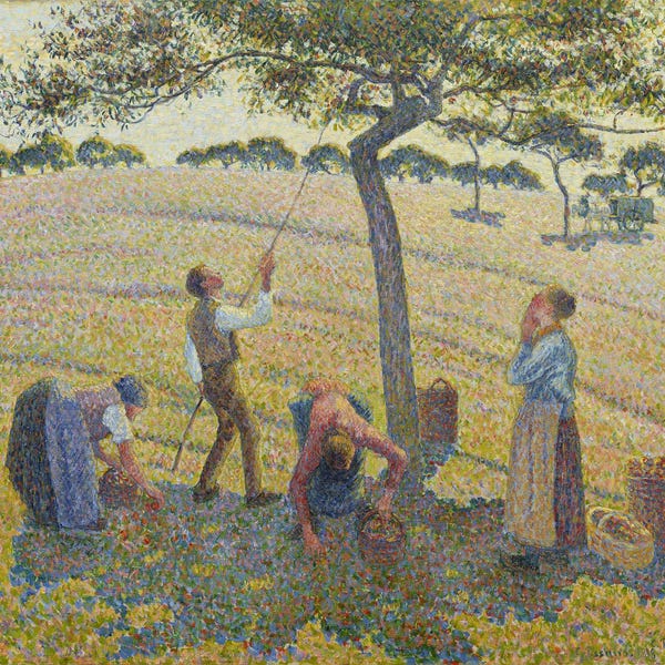 Apple Harvest By Camille Pissarro