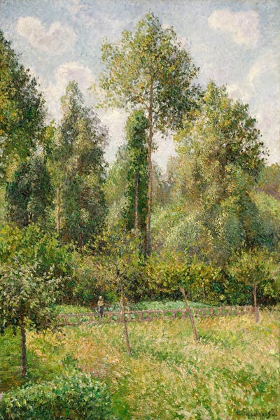 Camille Pissarro: Poplars, Eragny by Camille Pissarro