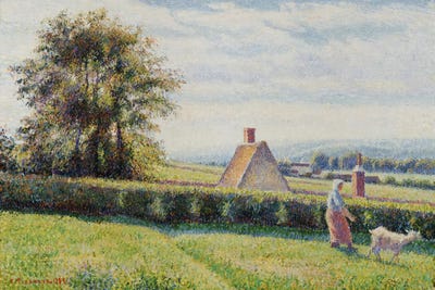 Spring Pasture by Camille Pissarro canvas print