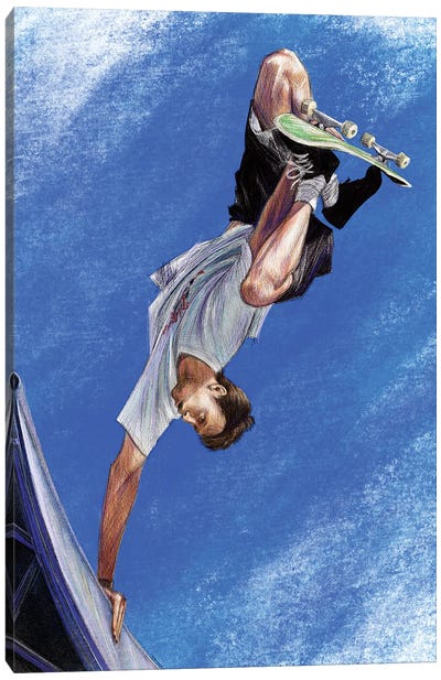 Tony Hawk Canvas Art Print - Rollerblading & Roller Skating