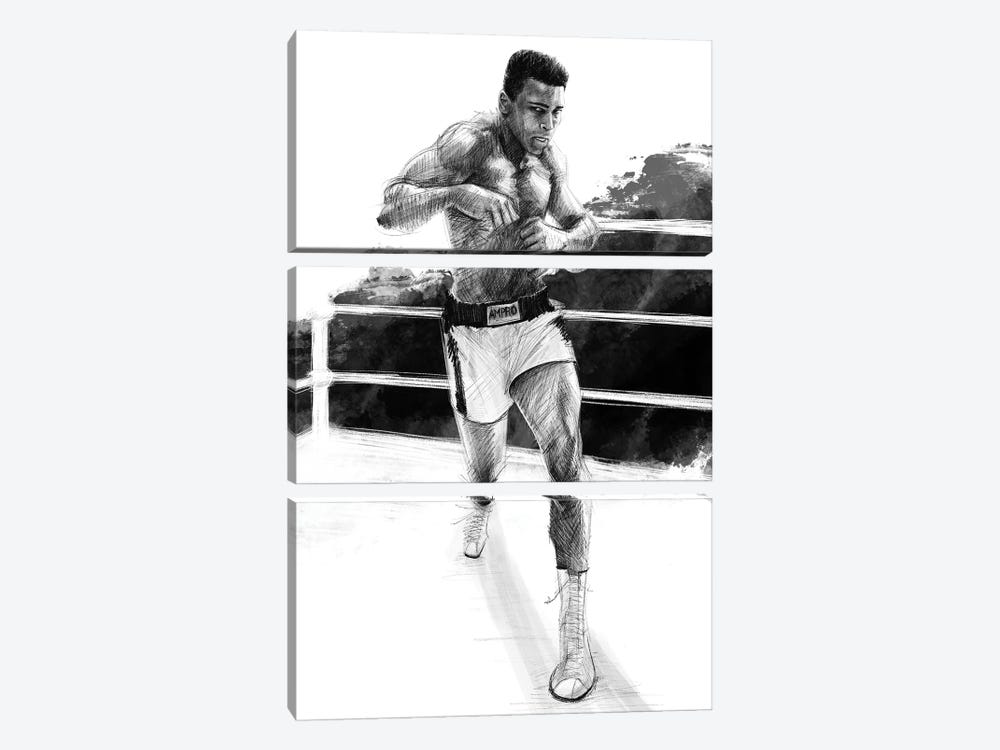 Muhammad Ali by Christian Paniagua 3-piece Canvas Wall Art