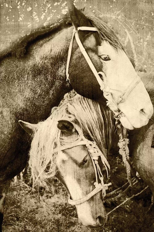 Vintage Horses