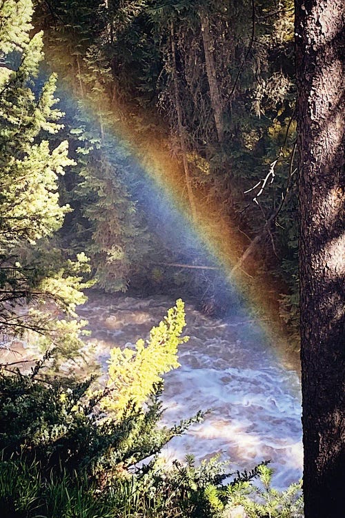 Stream And Rainbow Collide