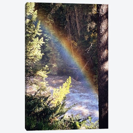 Stream And Rainbow Collide Canvas Print #CPP23} by Anna Coppel Canvas Artwork