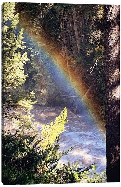 Stream And Rainbow Collide Canvas Art Print