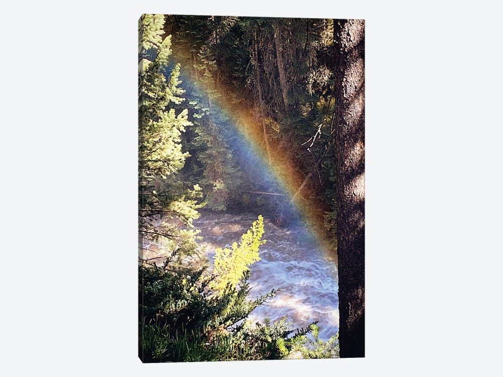 Stream And Rainbow Collide by Anna Coppel 1-piece Canvas Art Print