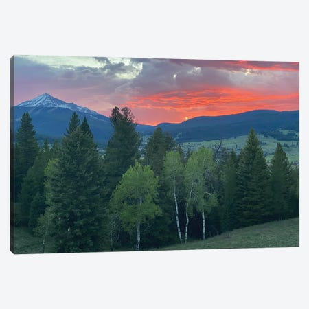 Sunset View From The Cabin Canvas Print #CPP24} by Anna Coppel Canvas Print