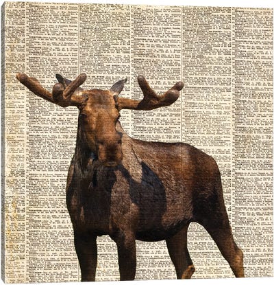 Country Moose I Canvas Art Print - Moose Art