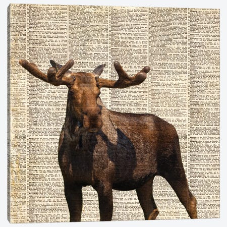 Country Moose I Canvas Print #CPP2} by Anna Coppel Canvas Art
