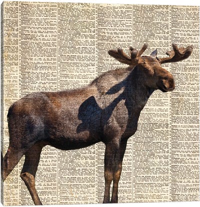 Country Moose II Canvas Art Print - Moose Art