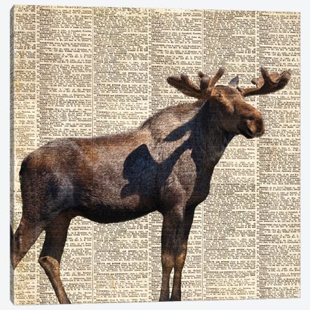 Country Moose II Canvas Print #CPP3} by Anna Coppel Canvas Art