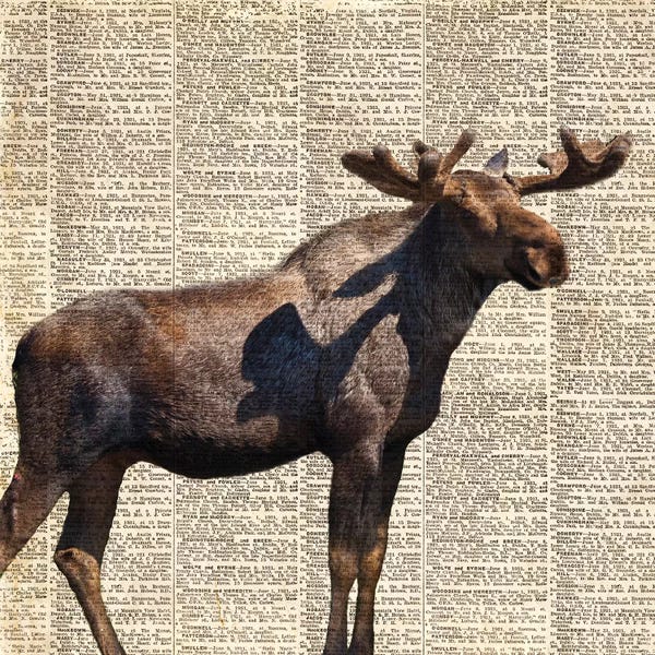 Anna Coppel: Country Moose II by Anna Coppel