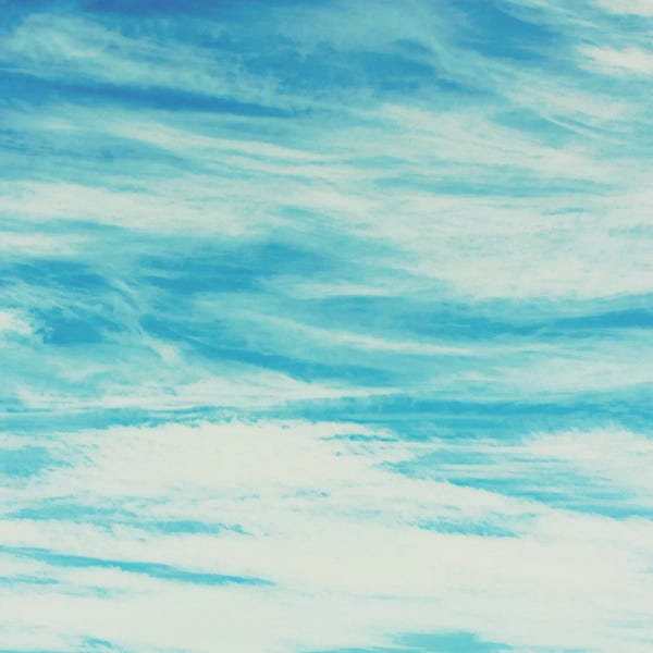 Anna Coppel: Reflective Water by Anna Coppel