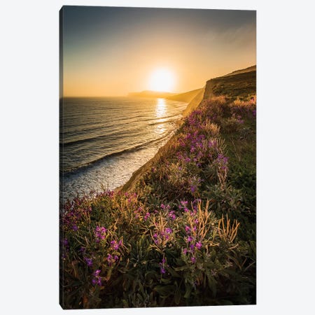 Purple Flowers On The Cliff Edge - Compton Bay Canvas Print #CPW18} by Chad Powell Canvas Wall Art