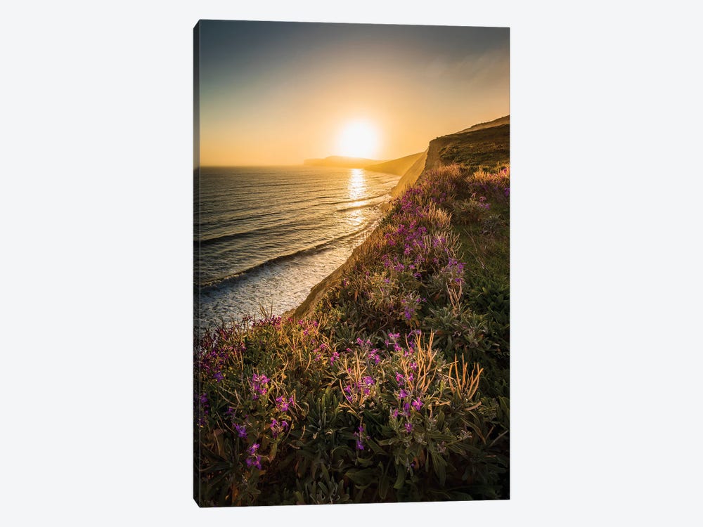 Purple Flowers On The Cliff Edge - Compton Bay by Chad Powell 1-piece Canvas Wall Art