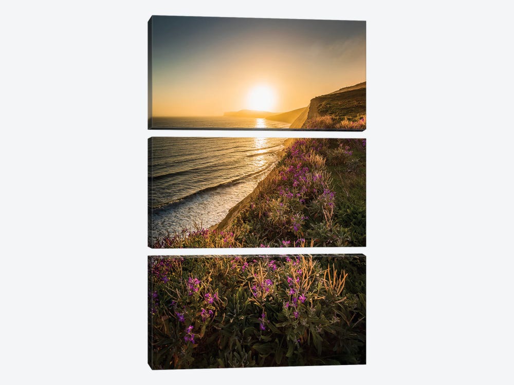 Purple Flowers On The Cliff Edge - Compton Bay by Chad Powell 3-piece Canvas Wall Art