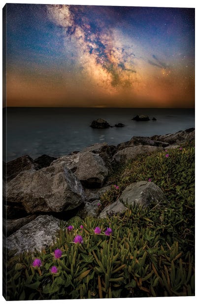 La Falaise - Milky Way Over The English Channel Canvas Art Print - Milky Way Galaxy Art