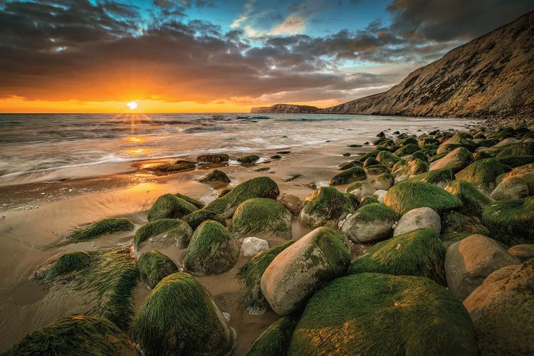 Seaweed Covered Rocks During Sunset At Compton