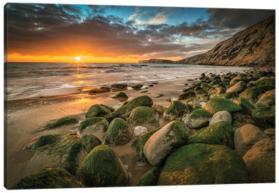 Seaweed Covered Rocks During Sunset At Compton Canvas Art Print - Chad Powell