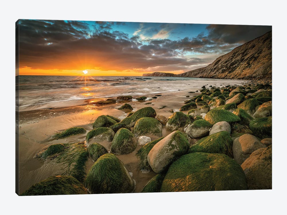 Seaweed Covered Rocks During Sunset At Compton by Chad Powell 1-piece Art Print