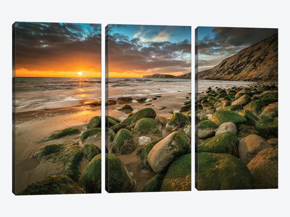 Seaweed Covered Rocks During Sunset At Compton by Chad Powell 3-piece Canvas Art Print