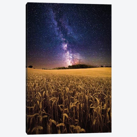 Fields Of Gold - The Milky Way Over A Field Of Wheat Canvas Print #CPW30} by Chad Powell Canvas Artwork