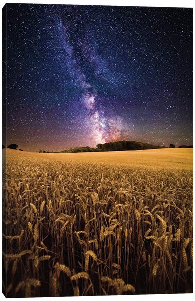 Fields Of Gold - The Milky Way Over A Field Of Wheat Canvas Art Print - Milky Way Galaxy Art