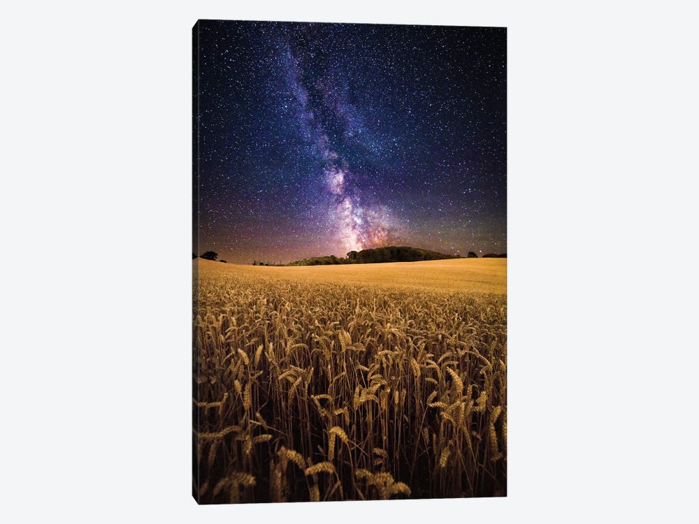 Fields Of Gold - The Milky Way Over A Field Of Wheat by Chad Powell 1-piece Canvas Wall Art