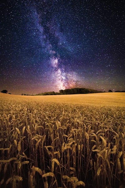 Chad Powell: Fields Of Gold - The Milky Way Over A Field Of Wheat by Chad Powell